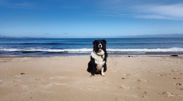 Análisis del Galaxy S6 Edge El Salvador